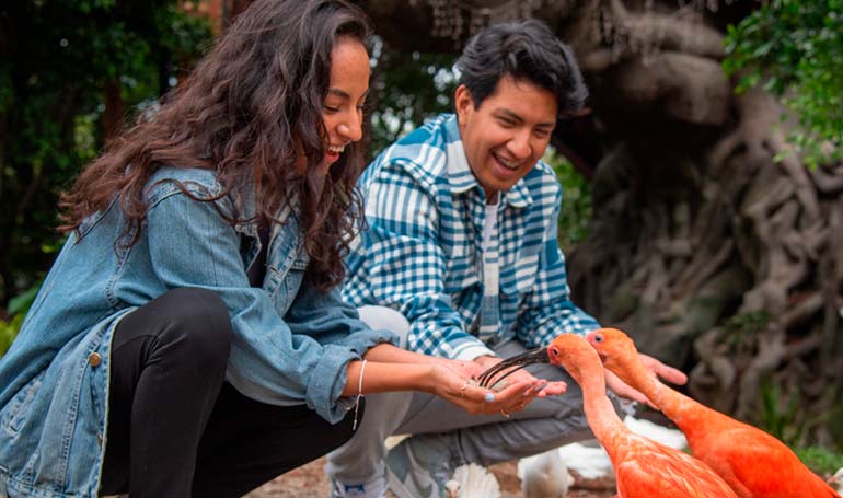 Tour Africam Safari y Pueblo del Ónix con Tour Sin Límites
