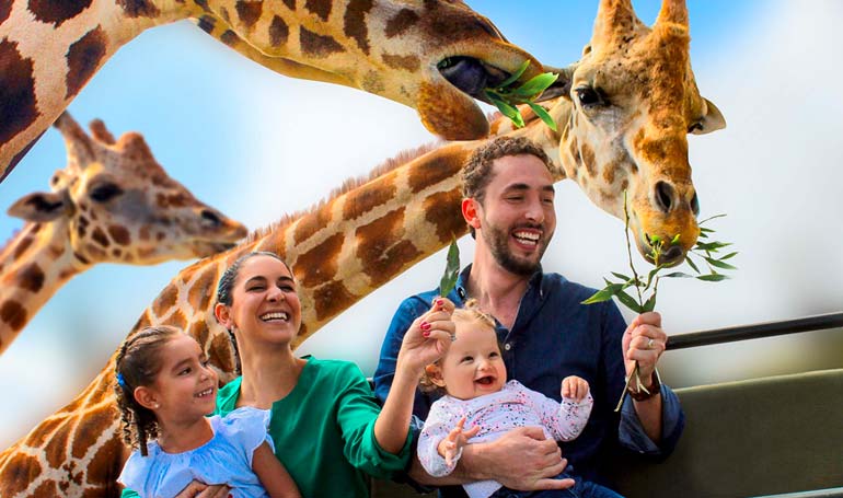Tour Africam Safari y Pueblo del Ónix con Tour Sin Límites
