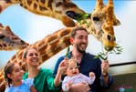 Tour Africam Safari y Pueblo del Ónix con Tour Sin Límites