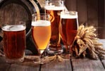 Tour de la Cerveza Artesanal y Tequisquiapan con Tour Sin Límites