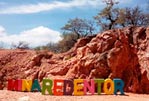 Tour de la Cerveza Artesanal y Tequisquiapan con Tour Sin Límites