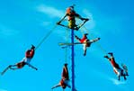 Tour El Tajín, Papantla y Tecolutla 2023 con Tour Sin Límites