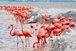 Tour Las Coloradas Río Lagarto con Tour Sin Límites